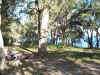 0475_MUNGO_BRUSH1_WEB.jpg (124661 bytes)