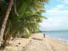 0734_CARDWELL.jpg (85703 bytes)