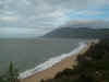 0738_WHITE_C;IFF_POINT.jpg (41863 bytes)