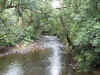 0760_CAPETRIBNATPARK.jpg (120504 bytes)