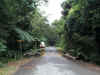0762_CAPETRIB.jpg (92205 bytes)