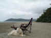 0770_CAPETRIBCOCOUNUTBEACH.jpg (44672 bytes)