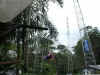 0794_TANFLYING.jpg (88444 bytes)