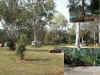 0795_RAVENSHOECAMP.jpg (106816 bytes)