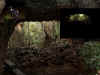 0807_UNDARALAVACAVES.jpg (77118 bytes)
