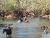 0910_KATHERINEHORSE.jpg (90429 bytes)