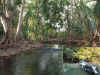 0925_COOMALE.jpg (117704 bytes)