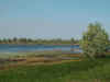 1093_KAKADU_JABARU.jpg (52743 bytes)