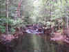 1122_LITCHFIELD.jpg (116664 bytes)