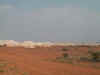 1158_COOBER_PEADY.jpg (42291 bytes)